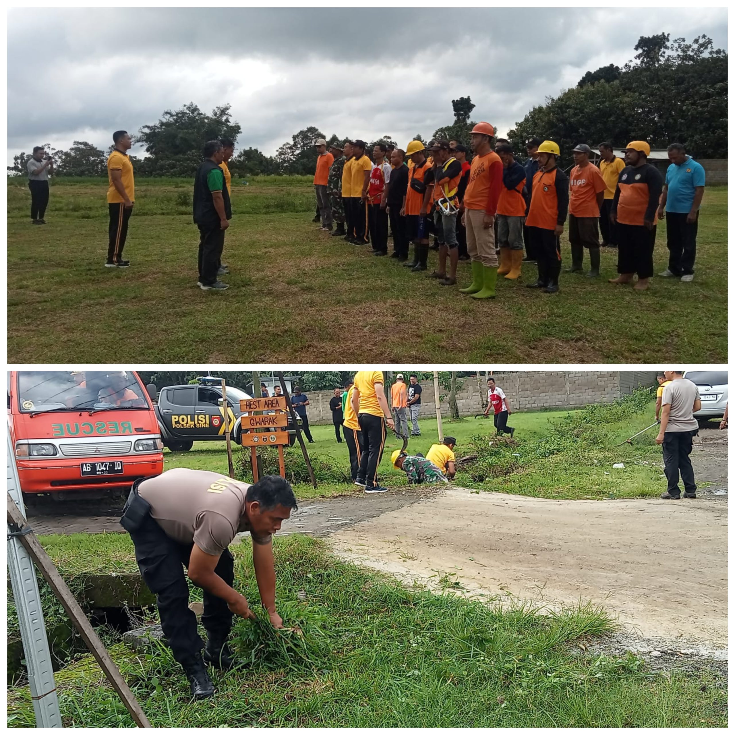 Forkopimcam Sine Peduli Keselamatan Pengungguna Jalan Langkah Antisipasi Pohon Tumbang
