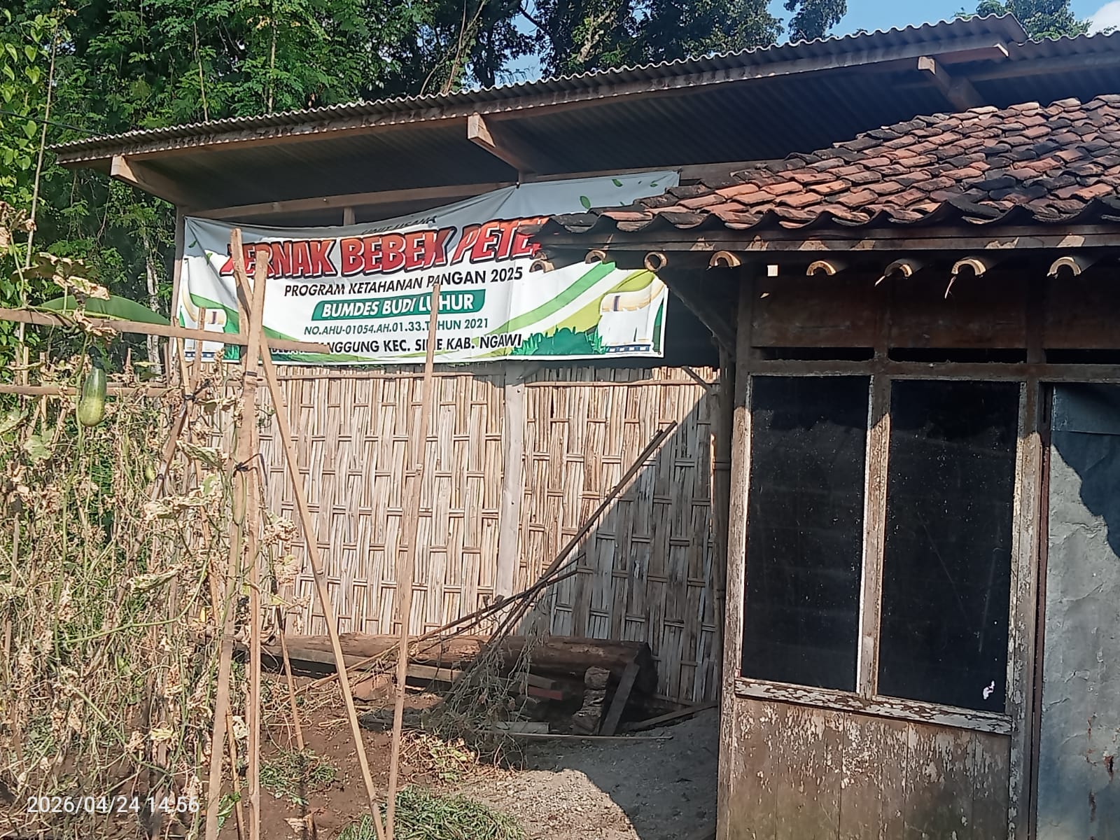 Kepala Desa Ketanggung Mengaku Tak Tahu Progres Bumdes, Dan Aktivitas Praktik Keperawatan Di Pertanya