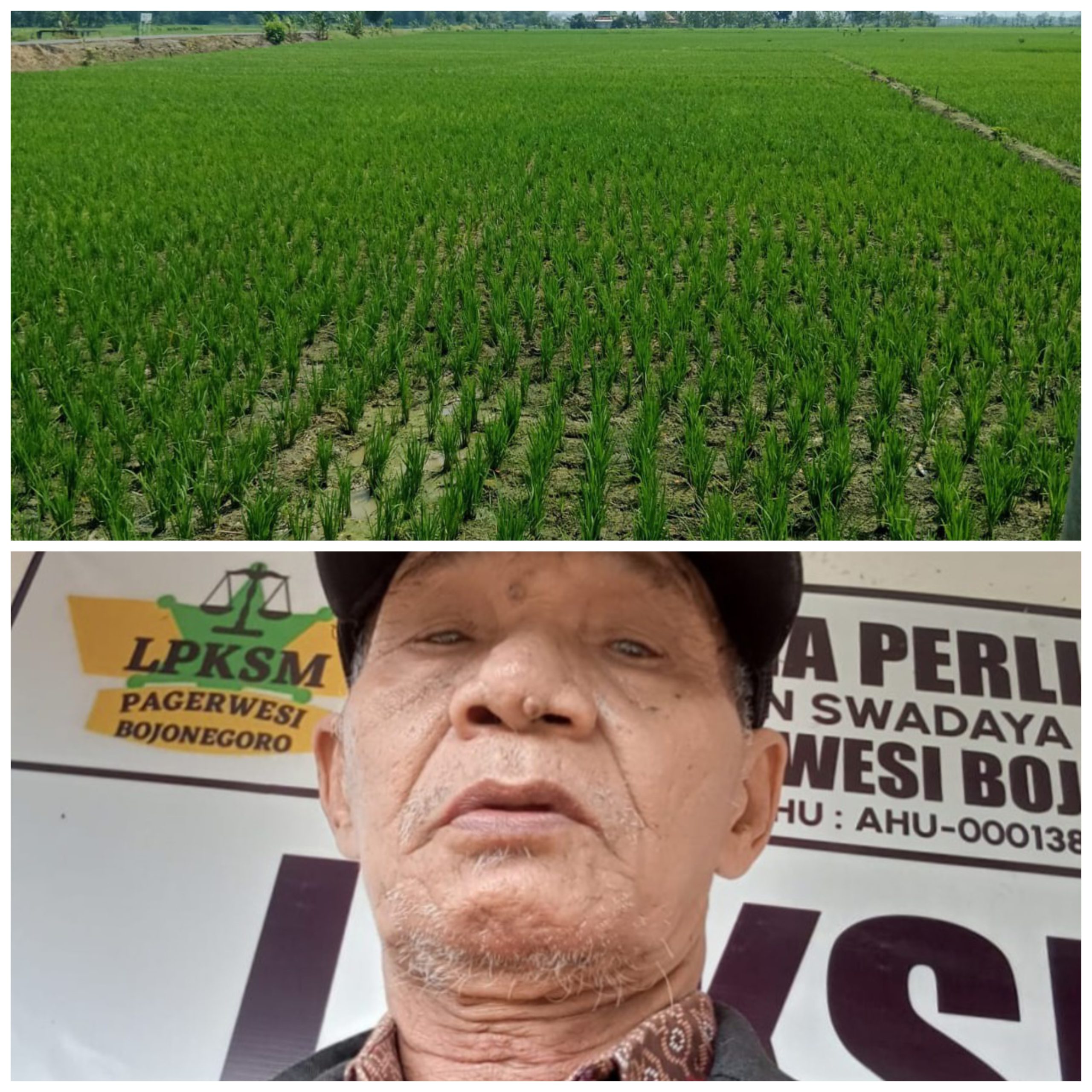 Kantongi Penetapan Ahli Waris Dari Pengadilan, LPKSM Pagerwesi Tegaskan Segera Ambil Alih Obyek Tanah di Kapas