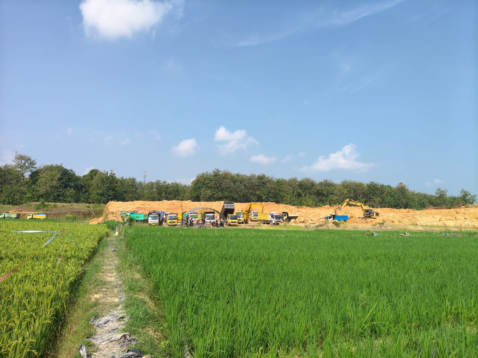 ‎CV LISA Bantu Petani di Kabupaten Bojonegoro Ubah Lahan Kering Jadi Produktif, Bantah Isu Kegiatan Pertambangan